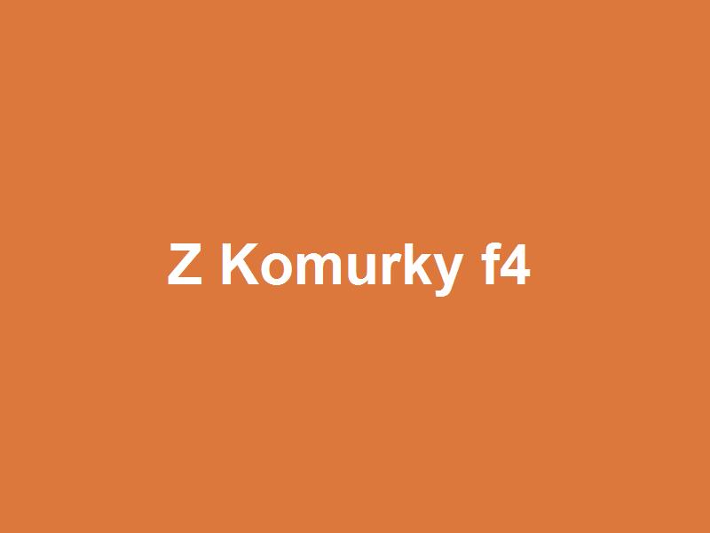 Čatní